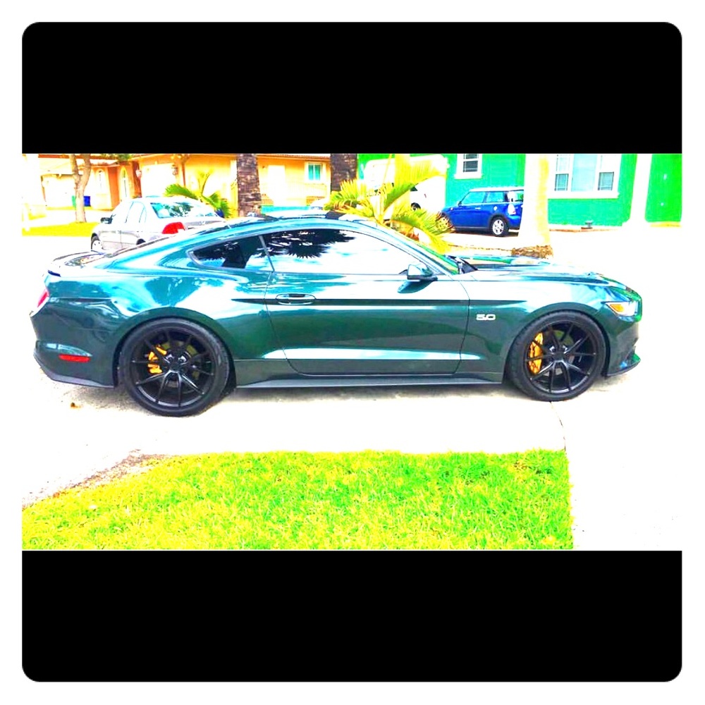 Rims and tires niche 2017